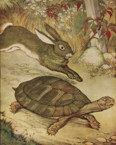 tortoise and hare