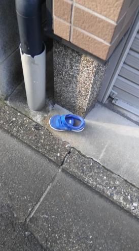 15826159_10154754824646063_6128487514182843338_n