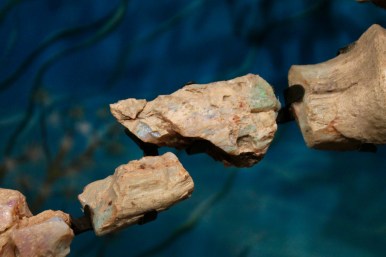 23719262333_e8cf6d97a2_b